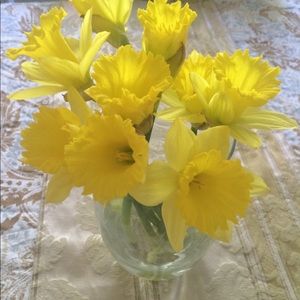 Meet your Posher, Helen